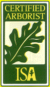 Tree Service Logo
